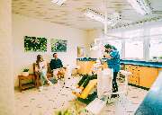 docs & bears - Zentrum für Kieferorthopädie - Willim, Langsch, Bareis - GALLERY