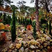 Doerfler Garden Design - 1