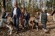 dogs & dogs Hundeschule Rosenheim - GALLERY
