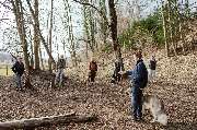 dogs & dogs Hundeschule Rosenheim - GALLERY