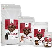 DOGS-HEART - GALLERY