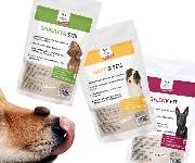 DOGS-HEART - GALLERY