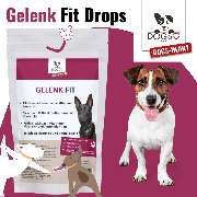 DOGS-HEART - GALLERY