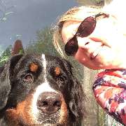 DOGS-HEART - GALLERY