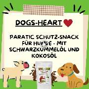 DOGS-HEART - GALLERY