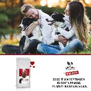 DOGS-HEART - GALLERY