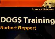 DOGS Training - 16