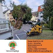 Doman Service - Grünpflege - GALLERY