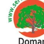 Doman Service - Grünpflege - GALLERY