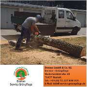 Doman Service - Grünpflege - GALLERY