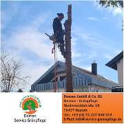 Doman Service - Grünpflege - GALLERY
