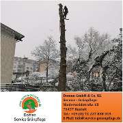 Doman Service - Grünpflege - GALLERY