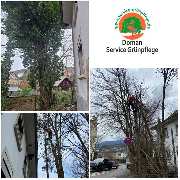 Doman Service - Grünpflege - GALLERY