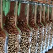 Domschatten Privatbrauerei - GALLERY