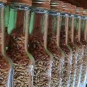Domschatten Privatbrauerei - GALLERY