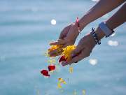 Dorn Bestattungen GmbH - GALLERY