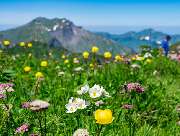 Dorn Bestattungen GmbH - GALLERY