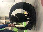 DOX.fitness - Hundeschule - Bindungstraining - DOX.fitness - Hundeschule | Schliersee