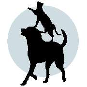 Dr. Abdul Rasool Al-Ghobainy - LOGO