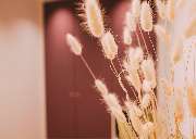 Dr. Carolin Röder - Die Zahnarztpraxis in Dinslaken - GALLERY