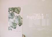 Dr. Carolin Röder - Die Zahnarztpraxis in Dinslaken - GALLERY