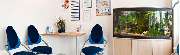 Dr. Christoph Hommel - GALLERY