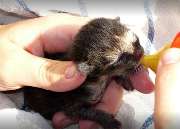 Dr. Johann Glöckel - GALLERY