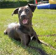 Dr. Johann Glöckel - GALLERY