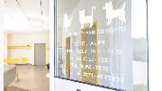 Dr. Katrin Werth Tierarztpraxis - GALLERY