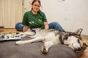 Dr. Kerstin & Björn-Sirke Schwarz Tierarztpraxis - GALLERY
