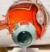 Dr. med. Andreas Andresen Augenarzt - GALLERY