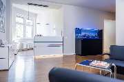Dr. med. Daniel Stosch – Facharzt für Orthopädie und Chirurgie - Privatpraxis Düsseldorf - Dr. med. Daniel Stosch – Facharzt für Orthopädie - Privatpraxis in Düsseldorf