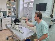 Dr.med.vet. Andre Synilo Tierärztliche Praxis - GALLERY