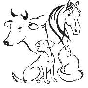 Dr. med. vet. Peter Mittermeier - LOGO