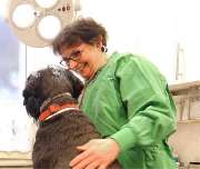 Dr. med. vet. Sabine Holtz Kleintierpraxis - GALLERY