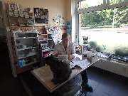 Dr.med.vet. Veronika Madeiczyk Kleintierpraxis - GALLERY