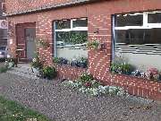 Dr.med.vet. Veronika Madeiczyk Kleintierpraxis - GALLERY