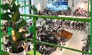 Dreirad-Zentrum Frankfurt - GALLERY
