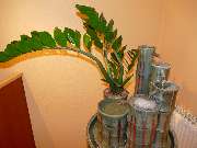 Dres. Ingo & Nora Scheile Zahnärzte München Trudering - Zahnarzt-Praxis Dres. Scheile