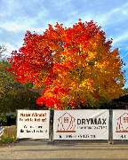 Drymax Abdichtungssysteme e.K. - GALLERY