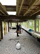 DS Schädlingsbekämpfung (Fachbetrieb) - GALLERY