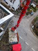 DS Schädlingsbekämpfung (Fachbetrieb) - GALLERY