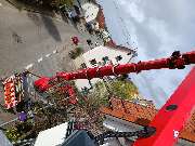 DS Schädlingsbekämpfung (Fachbetrieb) - GALLERY