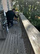 DS Schädlingsbekämpfung (Fachbetrieb) - GALLERY