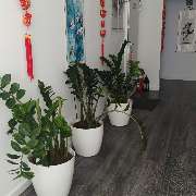 Düsseldorf Bahnhof - GALLERY