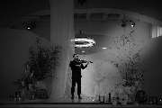 dunkelgoldmusik | Hochzeits- und Veranstaltungsmusik - dunkelgoldmusik | Hochzeits- und Veranstaltungsmusik Musiker mit Viola sorgt für festliche Stimmung in stilvoll dekorierter Hochzeitslocation. Foto von Christine Ladehoff.