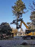 Duwenhorst René Garten-Landschaftsbau-Tiefbau - GALLERY