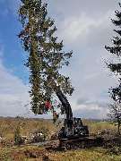 Duwenhorst René Garten-Landschaftsbau-Tiefbau - GALLERY