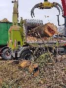 Duwenhorst René Garten-Landschaftsbau-Tiefbau - GALLERY