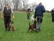 DVG MV Teampartner-Hund-Hoya e.V - 4